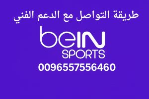 طريقة التواصل مع الدعم الفني